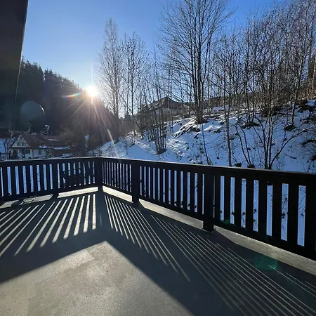 Niemierowka Guest house