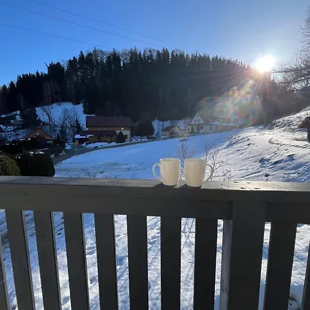 Guest house Niemierowka 3*